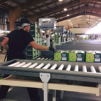 云南與廣州聯合打造安全可靠的高端海外勞務通道 實現年薪五十萬起的職業夢想